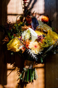 t+jbamphoto-0024.JPG