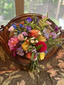 IMG_2797.jpeg